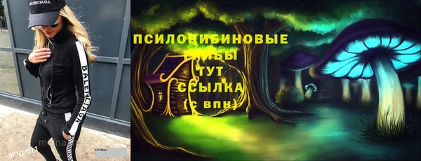 а пвп мука Медвежьегорск